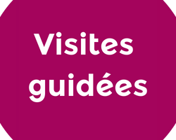 Visites guidées Visites guidées